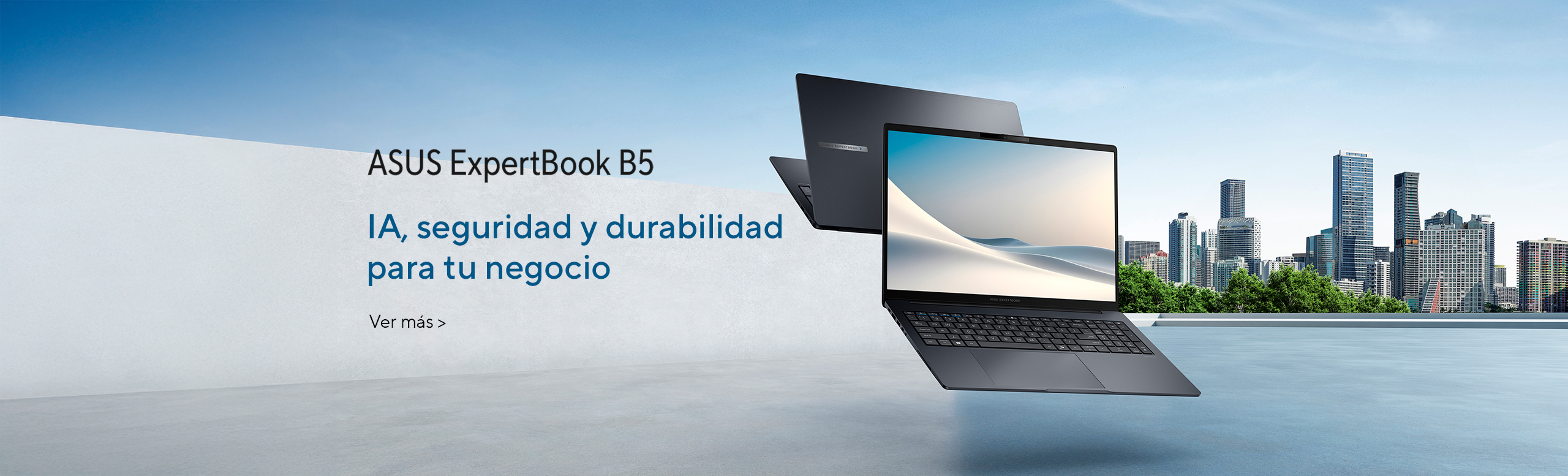 ExpertBook B5 (B5404)