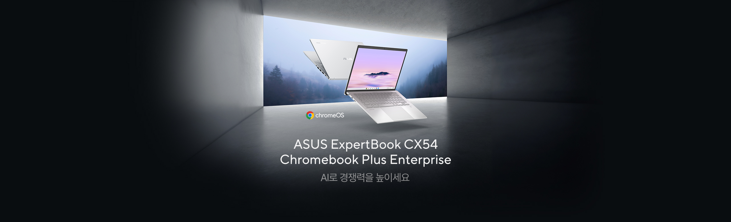 CX5403