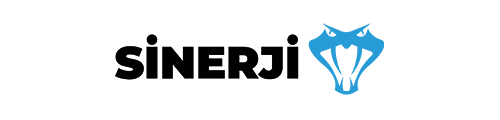 Sinerji