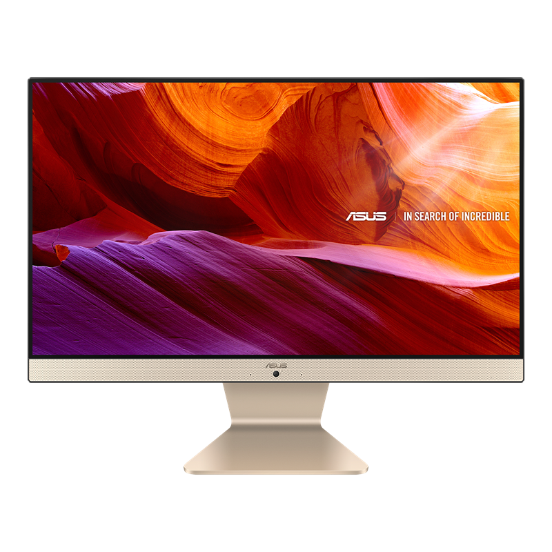 ASUS Vivo AIO V222