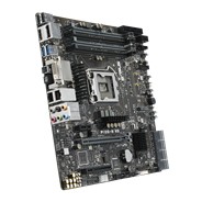 P10S-M WS