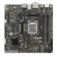 P10S-M WS
