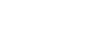 Logotipo de LIAN LI