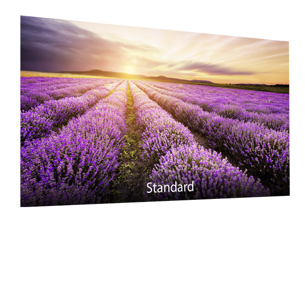 ASUS-Designo-BE24DQLB-blue-light-filter-standard